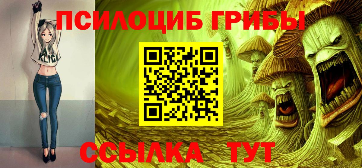 Галлюциногенные грибы Psilocybine cubensis  Галлюциногенные грибы Psilocybine cubensis  Вход с VPN  Красногорск 